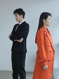 Épisode 65 - Le Gendre Miracle