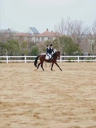 Episode 34 - Patience and Love