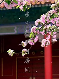 第10集 - 四四如意