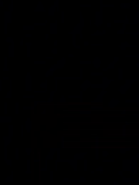 Épisode 17 - Le Gendre Miracle