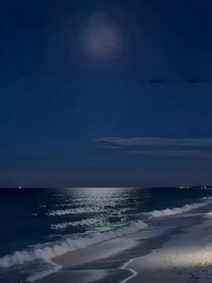 Il Bracciale Veritas - Episode 35