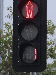 Episodio 1 - Metamorfosis en Vivo