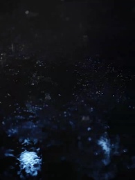 Episod 41 - Terima Kasih Atas Luka Itu