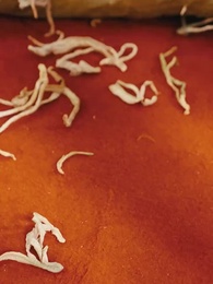 Tập 27 - Người Mẹ Nhỏ Bé Của Tôi