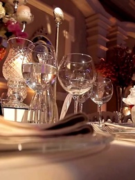 Episodio 15 - Metamorfosis en Vivo