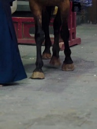 第3話 - 捨てられ予知姫~真実の愛と巡り合う