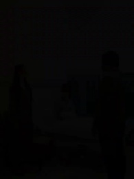 Épisode 36 - Le Gendre Miracle