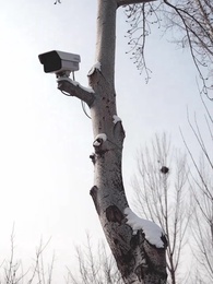 第55集 - 取消年終獎後，他們悔不當初