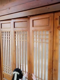 四四如意 - Episode 53