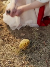 四四如意 - Episode 11