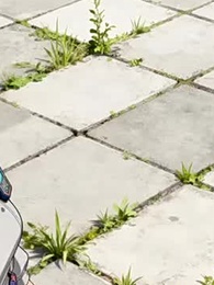 Caos Global: A Era das Criaturas - Episode 28