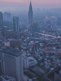 Episode 17 - [Dubbed]A Ring of Lies