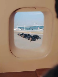 Lobo Come, Cachorro Late - Episode 9