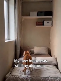 Episode 27 - Daddy, Please Hate Me