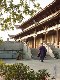 第31集 - 成女帝心腹後我無敵了