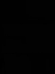 第33話 - 嫌われ娘と、狼の御曹司