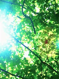 La Luna en Sombras - Episode 14