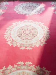 新鳳不棲舊巢 - Episode 26