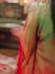 新鳳不棲舊巢 - Episode 13