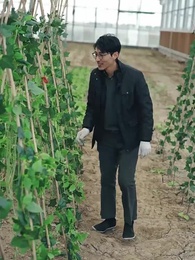 第30集 - 白日繁星