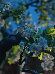 Chiếm Được Dạ Dày Chiếm Được Trái Tim - Episode 4