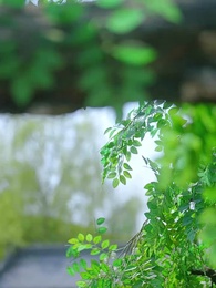 Chiếm Được Dạ Dày Chiếm Được Trái Tim - Episode 7