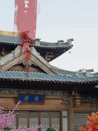 第22集 - 新鳳不棲舊巢