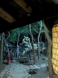 29화 - 기근 시대의 시스템 마스터