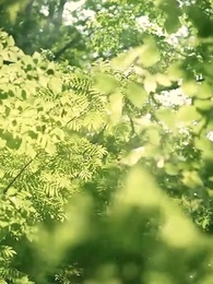 기근 시대의 시스템 마스터 - Episode 49