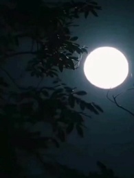 الحلقة 1 - لمعة القدر