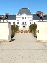 Episode 50 - Nach der Scheidung mit einem Star verheiratet