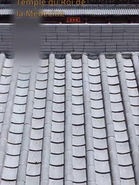 Épisode 2 - Mon mari idiot…est un Immortel !