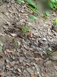 6화 - 기근 시대의 시스템 마스터