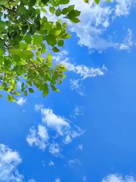 敵扱いされた彼が私の夫になった - Episode 50