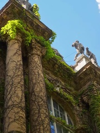 Episodio 19 - [Doblado]Marcada por 4 Hermanos Alfa