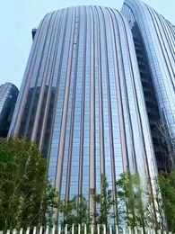 Tập 43 - Năm Cục Cưng Tìm Chồng Cho Mẹ