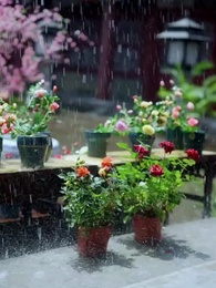 คำเอ่ยแห่งวังหลัง - Episode 50