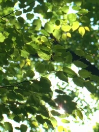 第22話 - [吹替]再婚後、夫が天才画家の私にメロメロ