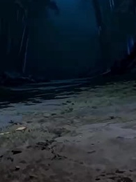 البدء كـثعبان مخادع، ثم التطور بالابتلاع - Episode 41