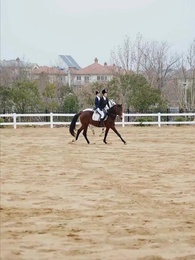 Cariño, No Te Amo - Episode 34