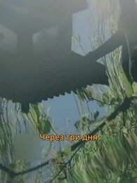 Серия 56 - Благодарность за сломанную юность