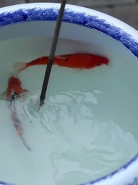 ตอนที่ 45 - คำเอ่ยแห่งวังหลัง