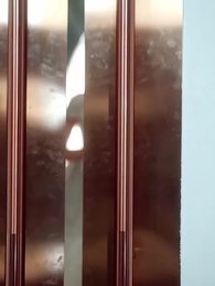 Épisode 42 - La rose renaissant sur le mensonge