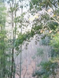 Episode 50 - Tears in the Imperial Hall