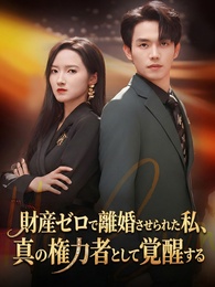 財産ゼロで離婚させられた私、真の権力者として覚醒する