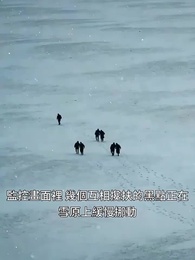 第43集 - 暖氣片上的末日：我與惡鄰婆婆的堡壘計劃