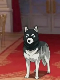 Un Guardabosques Entre Fieras - Episode 40