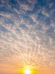 Tập 47 - [Lồng tiếng]Ngọa Hổ Tàng Long: Sở Phi Truyện