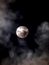 Ma Revanche au Banquet - Episode 118