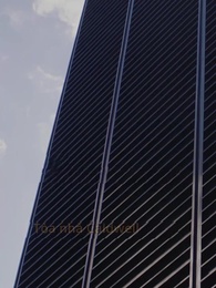 Tập 29 - Tổng Tài Truy Thê